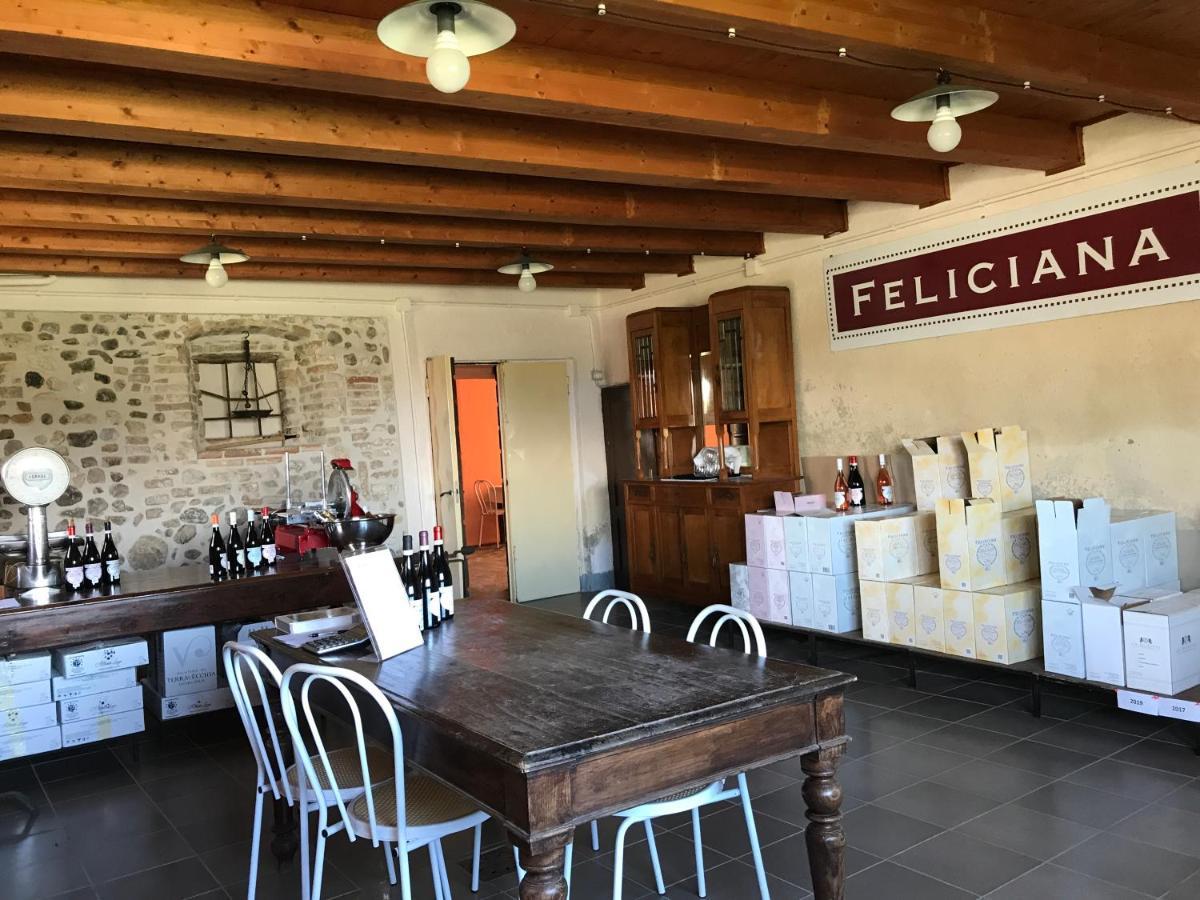 Agriturismo Feliciana Pozzolengo Eksteriør bilde