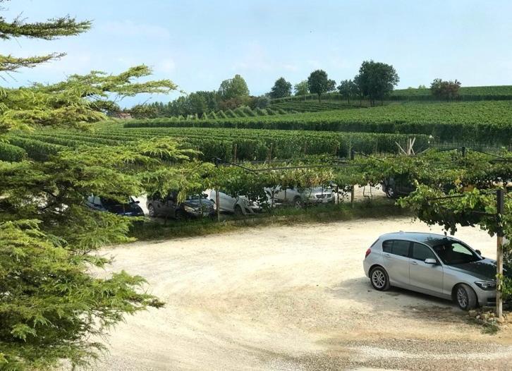 Agriturismo Feliciana Pozzolengo Eksteriør bilde