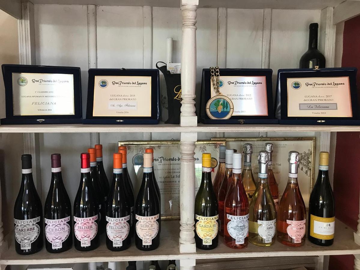 Agriturismo Feliciana Pozzolengo Eksteriør bilde
