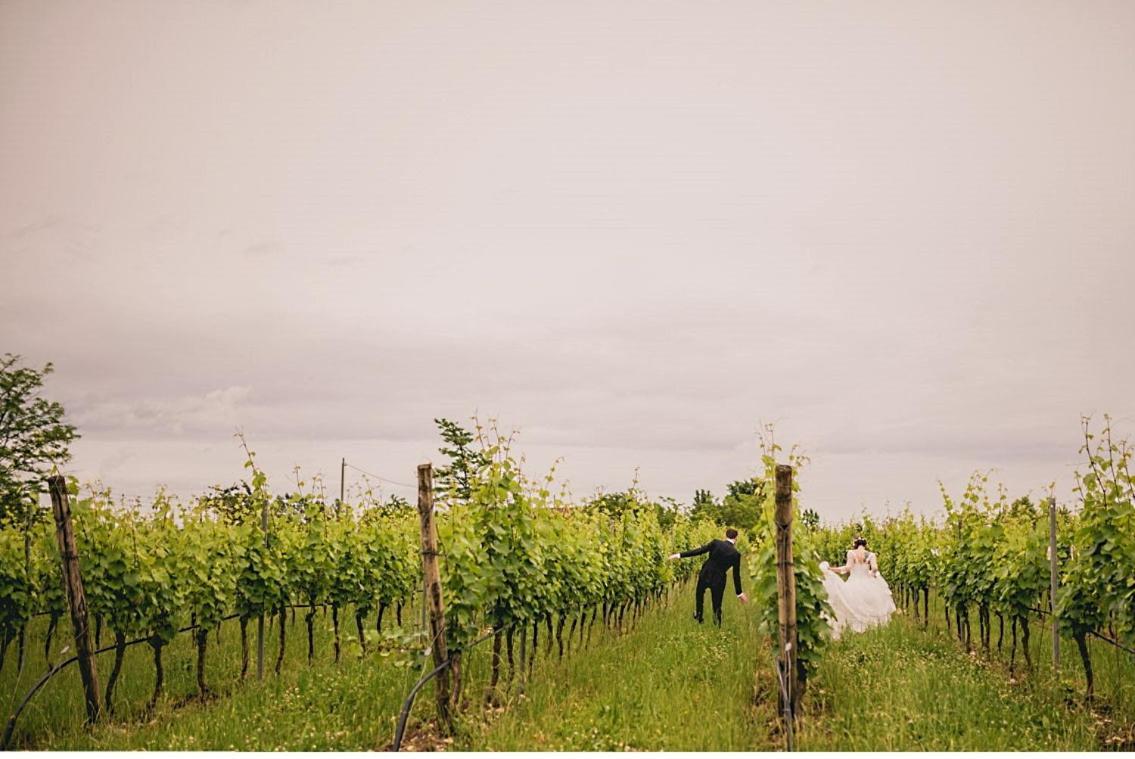 Agriturismo Feliciana Pozzolengo Eksteriør bilde
