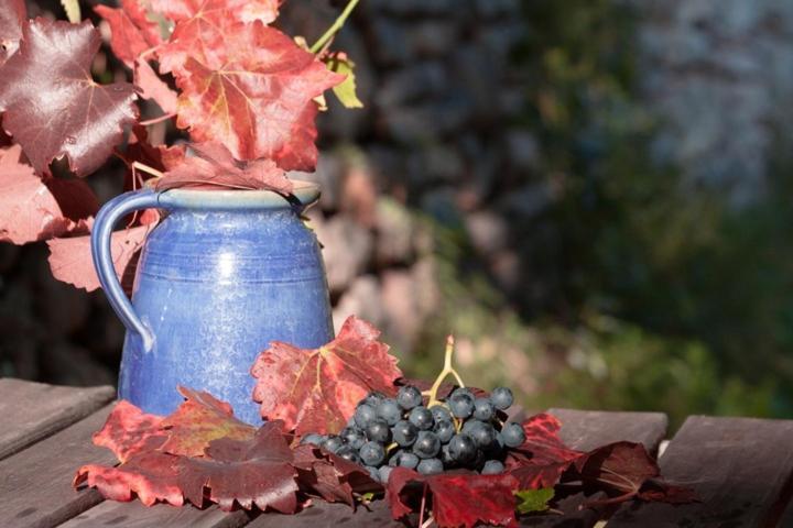 Agriturismo Feliciana Pozzolengo Eksteriør bilde