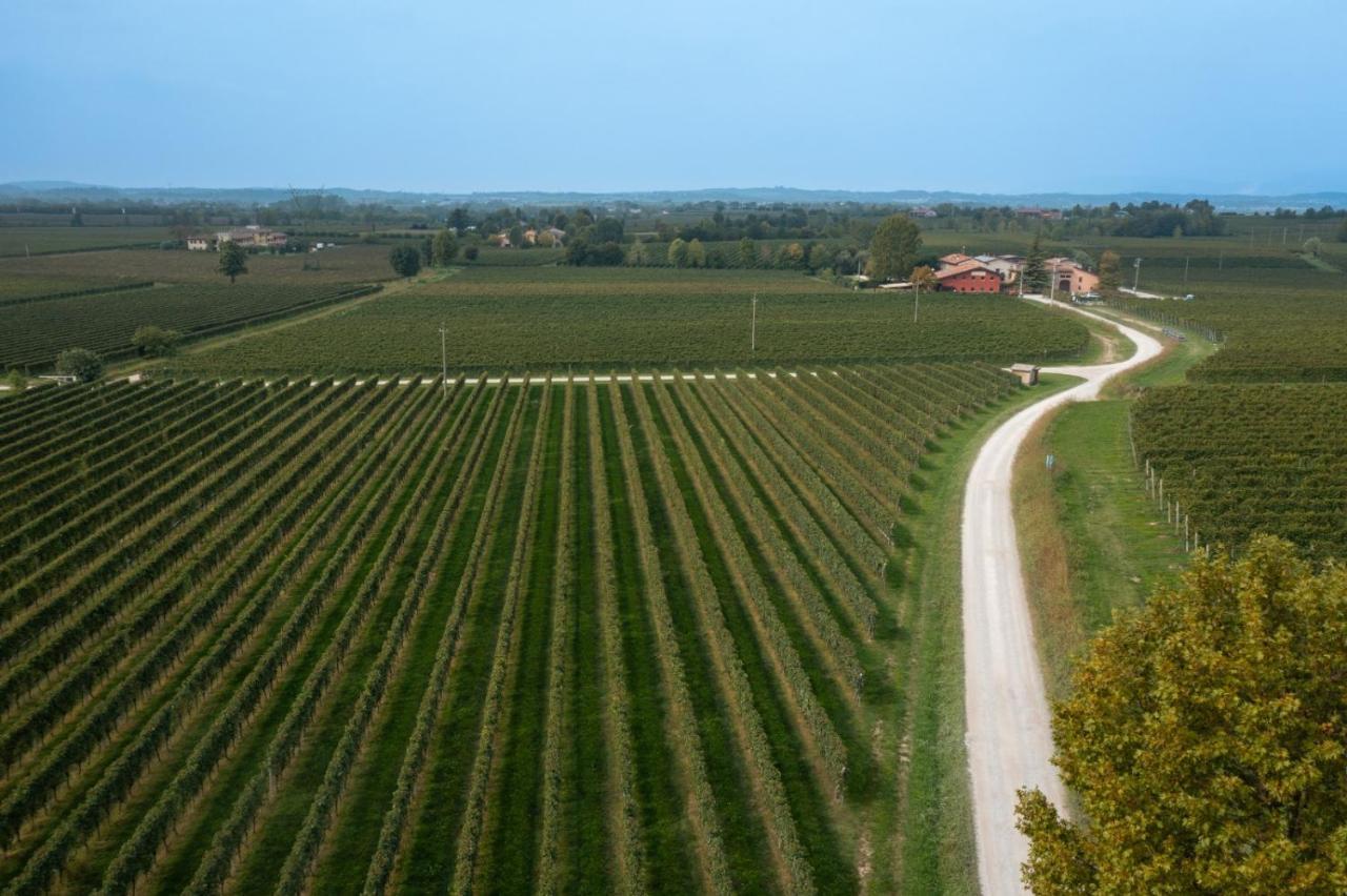 Agriturismo Feliciana Pozzolengo Eksteriør bilde