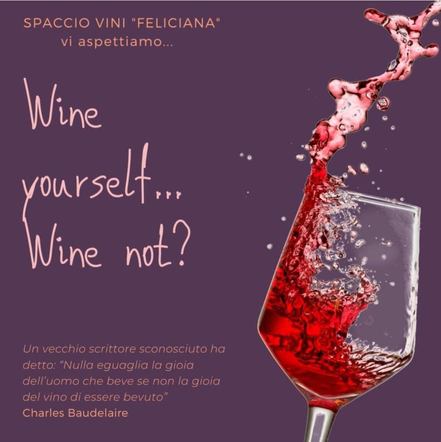 Agriturismo Feliciana Pozzolengo Eksteriør bilde
