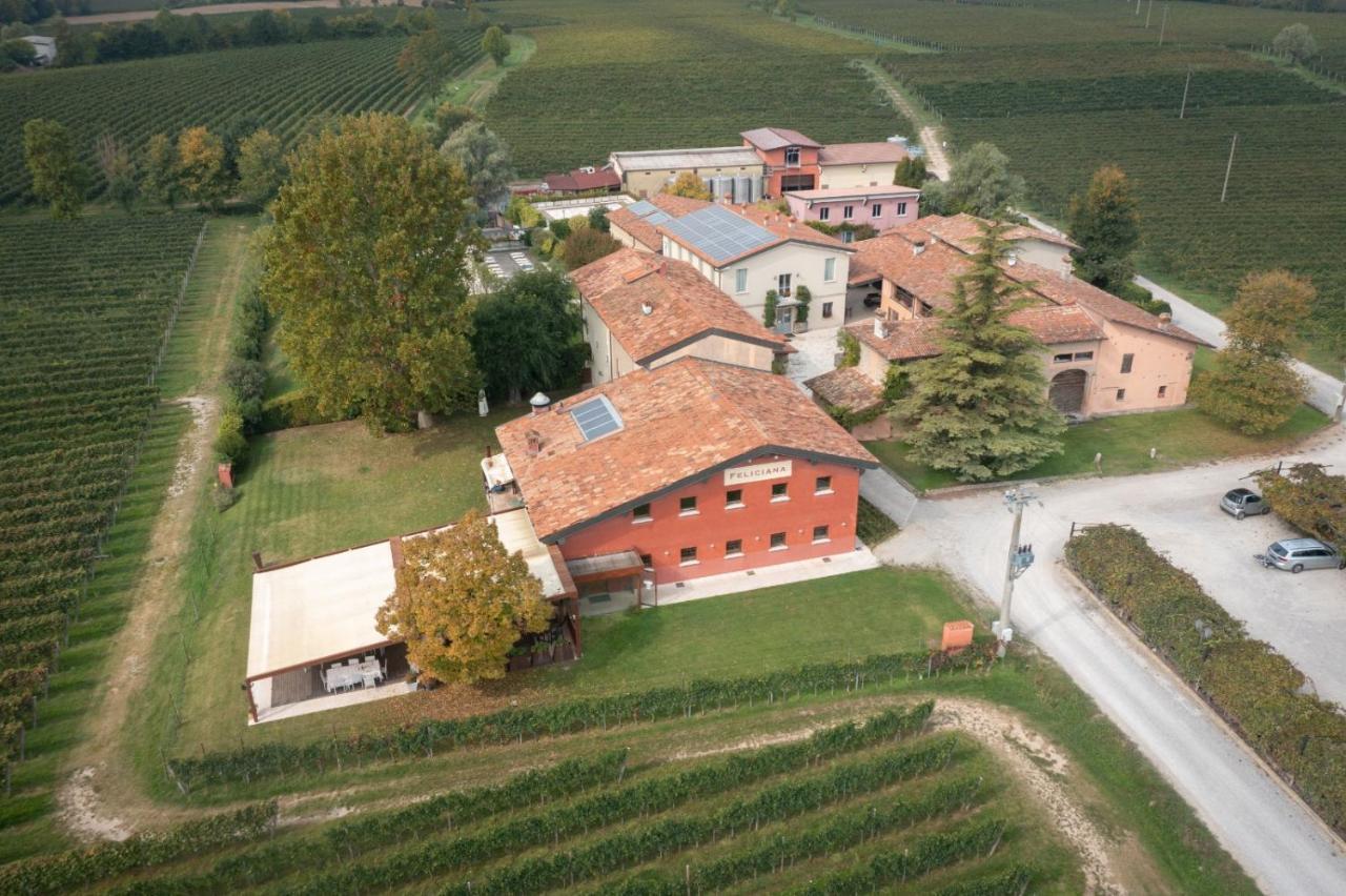 Agriturismo Feliciana Pozzolengo Eksteriør bilde