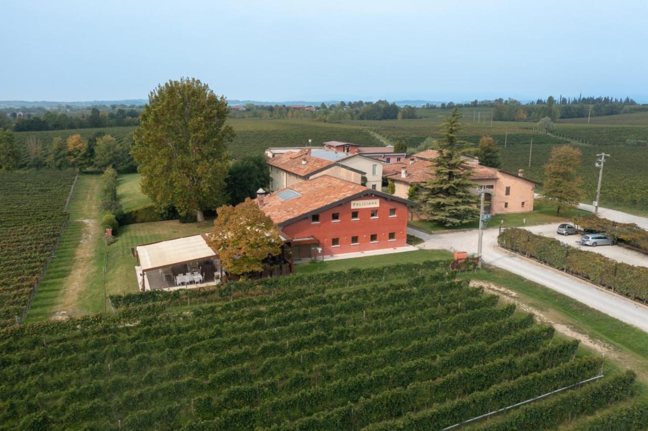 Agriturismo Feliciana Pozzolengo Eksteriør bilde
