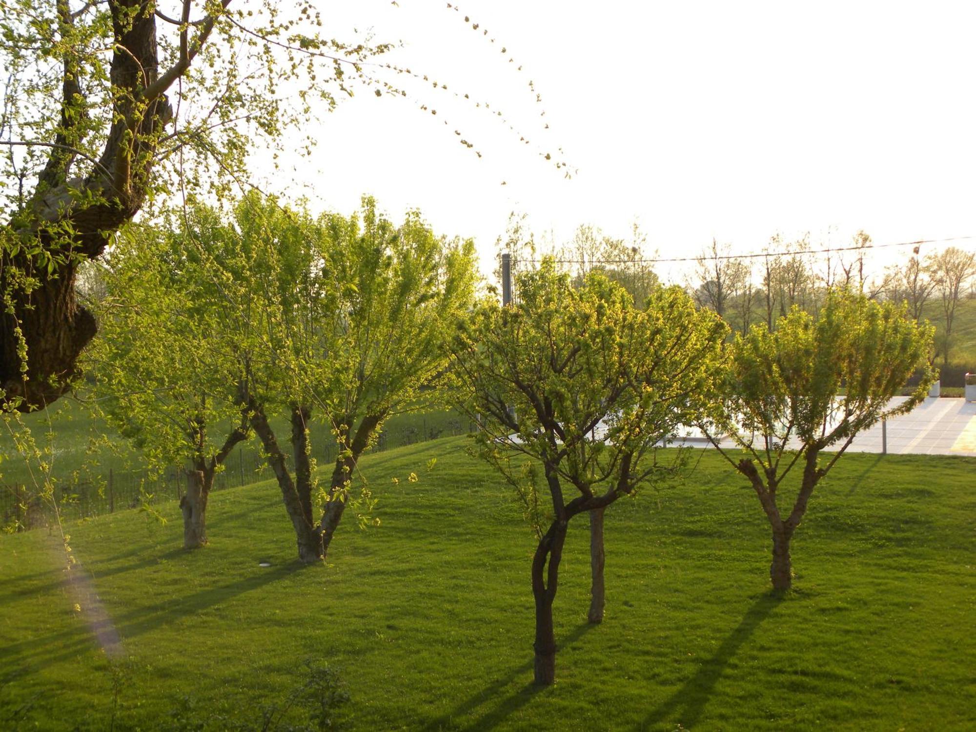 Agriturismo Feliciana Pozzolengo Eksteriør bilde